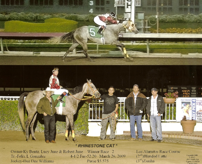 Custom Equine Design